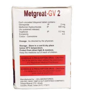 Metgreat GV 2